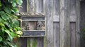 fotoalbum1000-sept006.jpg